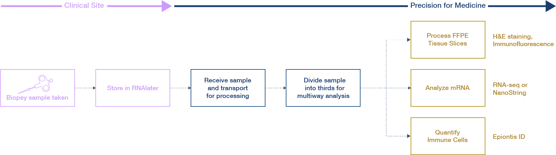 UPDATED_Specialty-deck_PDF-pg44